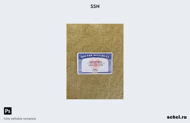 цифровая загрузка США SSN фотоальбом бежевый текстильный фон шаблон ПЕРЕДНЕЙ сто